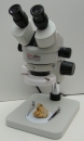 Auflicht-Stereo-Mikroskop Di-Li 900