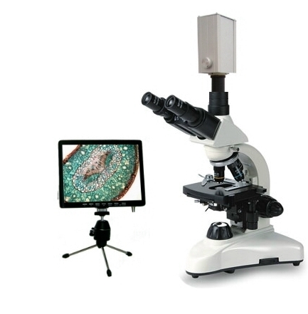 510 x 7 Zoll STEM-Mikroskop-Kit LCD-Lötmikroskop volle Sicht auf Münzen Münzmikroskop 13-Zoll-Metallständer LINKMICRO LM246M Digitales Mikroskop mit 3 Linsen für Erwachsene 