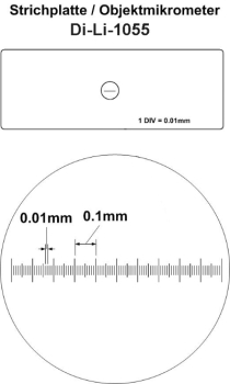 Di-Li 1055